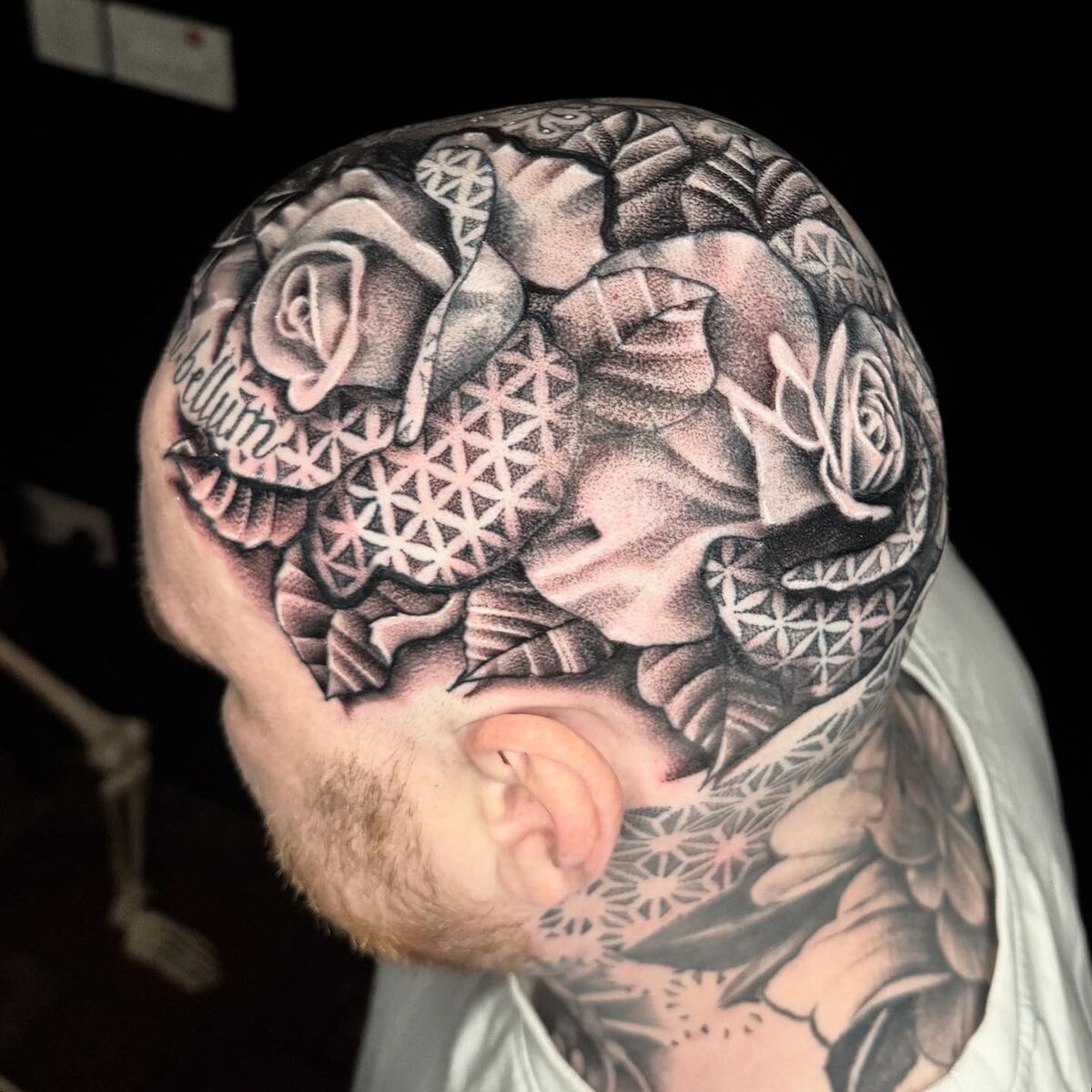 Matt OG — work 8